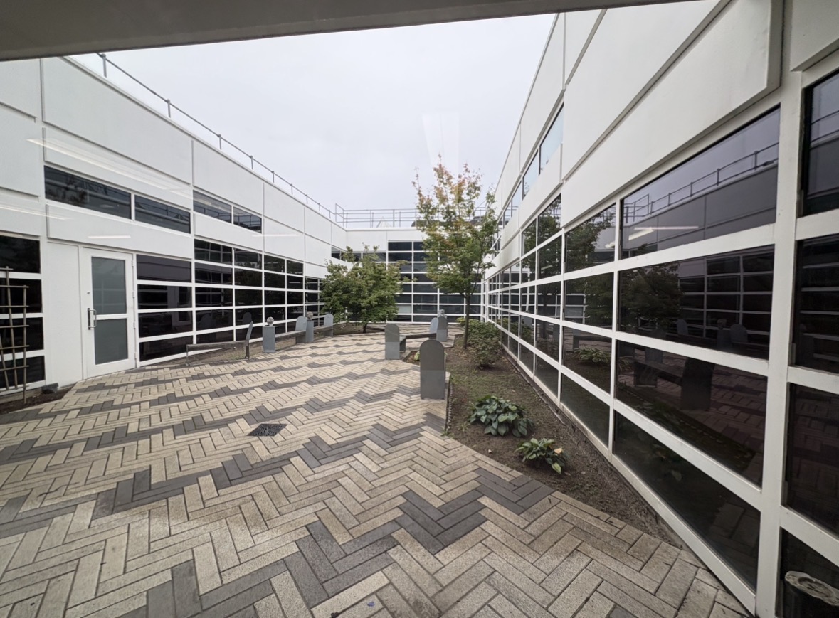 An image taken during the first workshop, working with group members for the colours on the map.